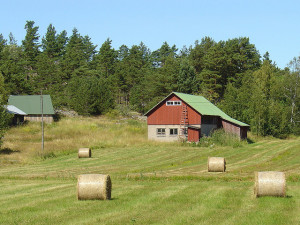 farm
