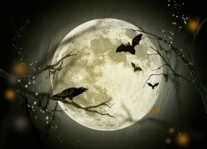 halloween-72939_640