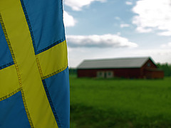 Swedish Flag by pixelthing