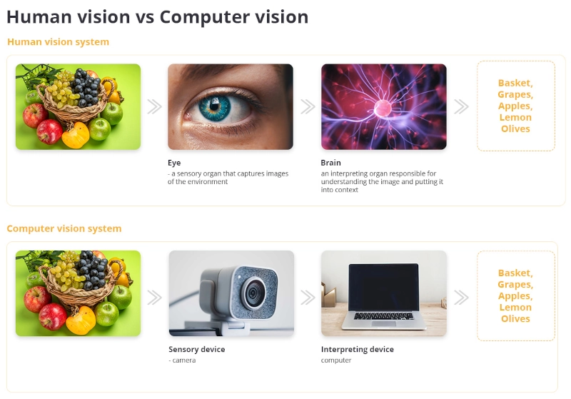 Computer Vision Vs. Menschliche Vision